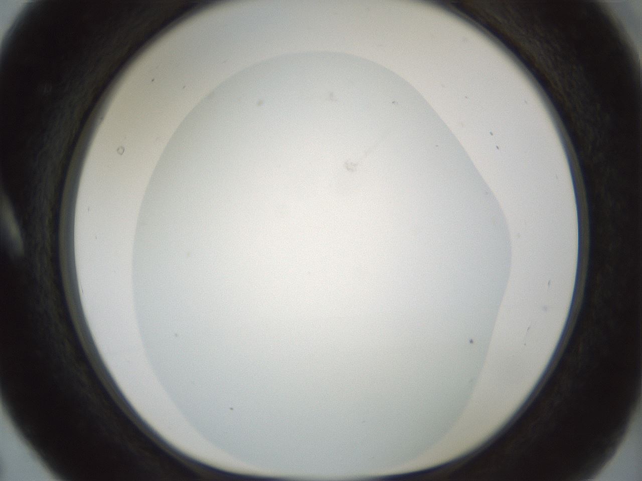 folderID697_plateID2697_batchID14119_wellNum5_profileID1_d1_r220847_ef.jpg