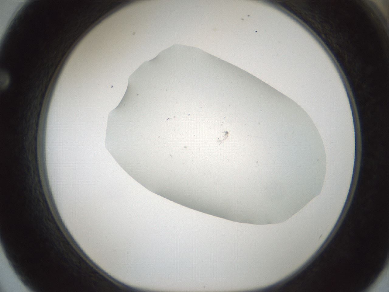 folderID699_plateID2699_batchID14114_wellNum62_profileID1_d1_r220424_ef.jpg