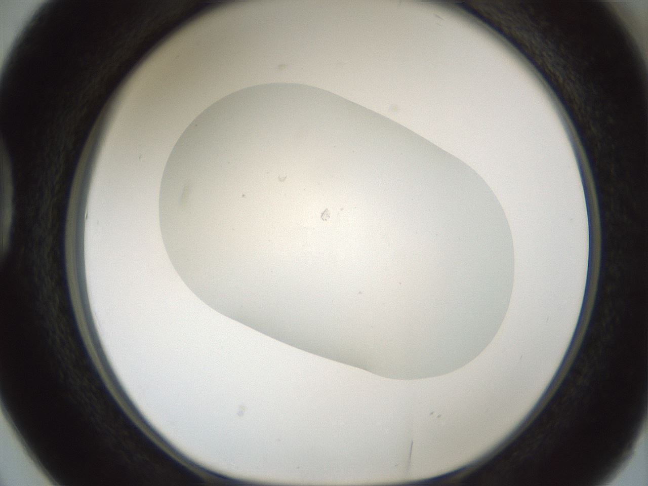 folderID703_plateID2703_batchID14112_wellNum38_profileID1_d1_r220208_ef.jpg