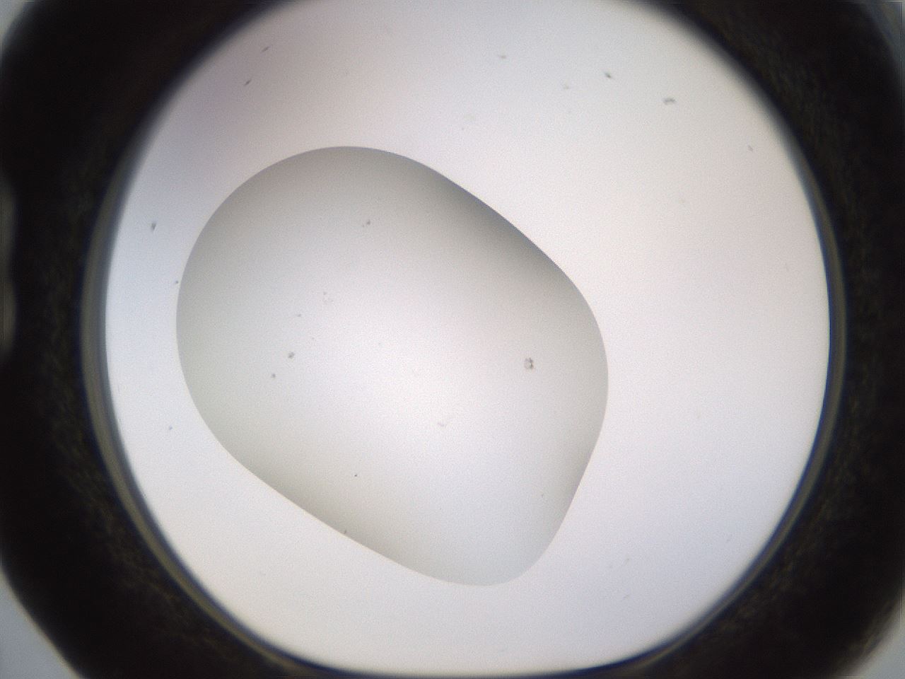 folderID704_plateID2704_batchID14111_wellNum17_profileID1_d1_r220091_ef.jpg