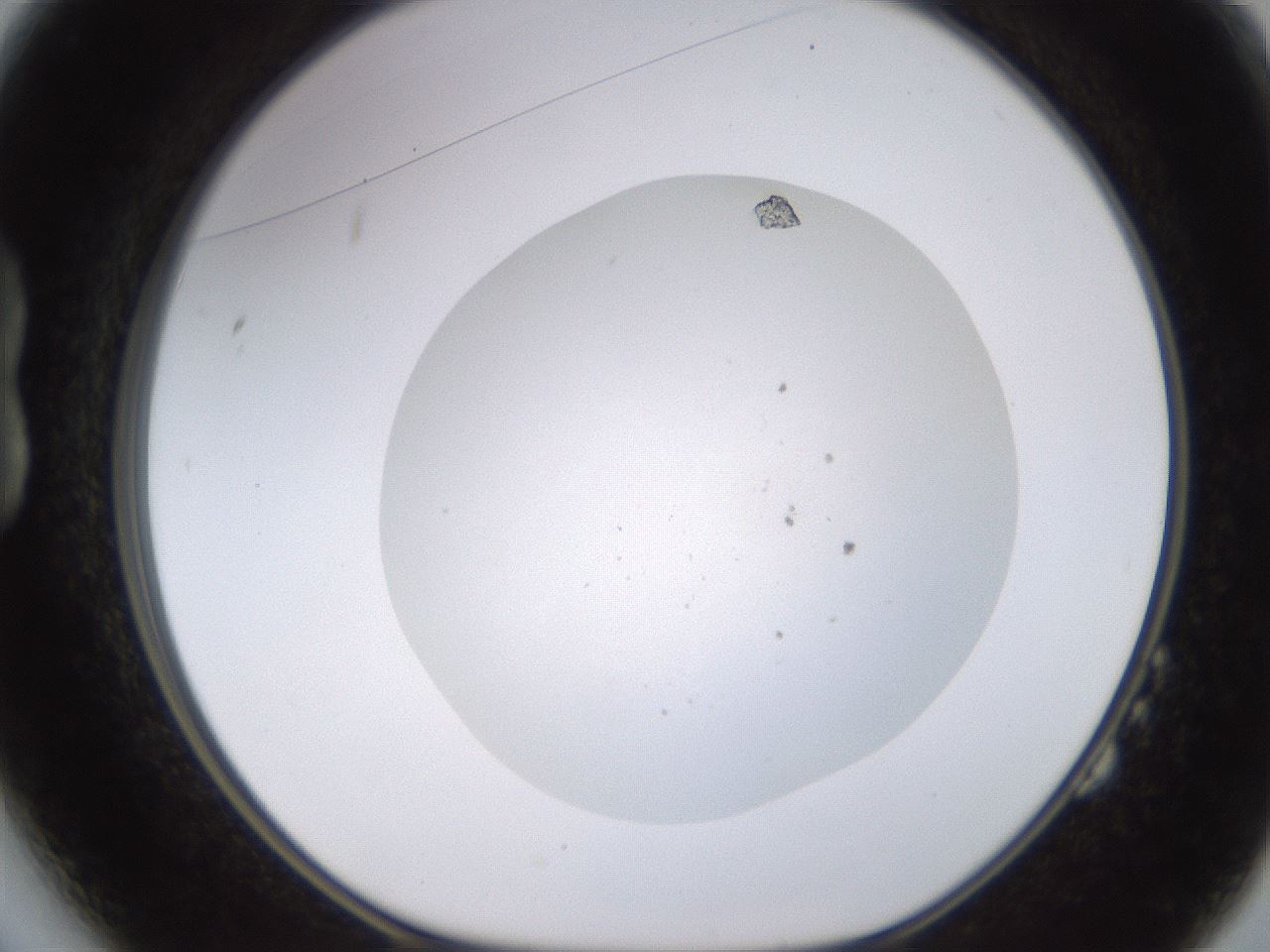 folderID704_plateID2704_batchID14111_wellNum14_profileID1_d1_r220088_ef.jpg