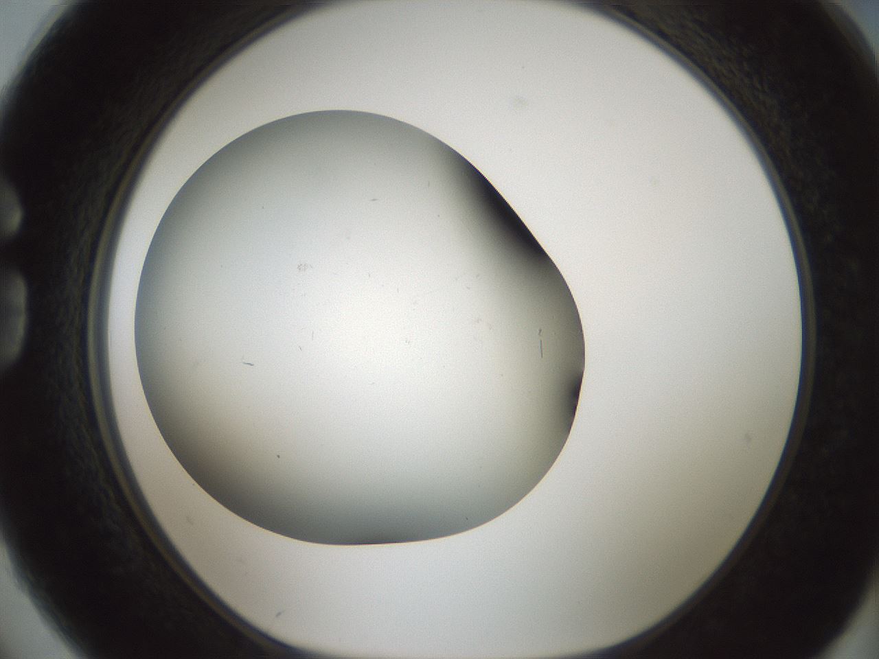 folderID705_plateID2705_batchID14086_wellNum74_profileID1_d1_r221396_ef.jpg