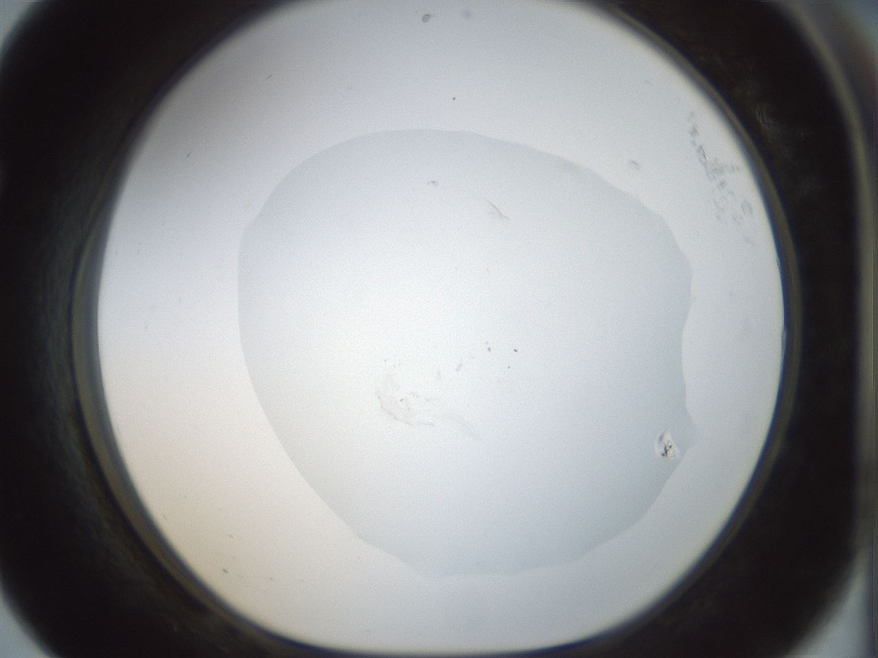 folderID70_plateID1070_batchID2496_wellNum68_profileID1_d1_r49851_ef.jpg