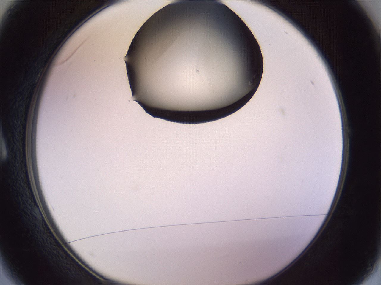 folderID742_plateID2742_batchID14404_wellNum1_profileID1_d1_r225931_ef.jpg