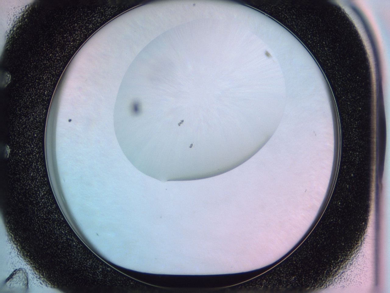 0461_E11_ImagerDefaults_0.jpg