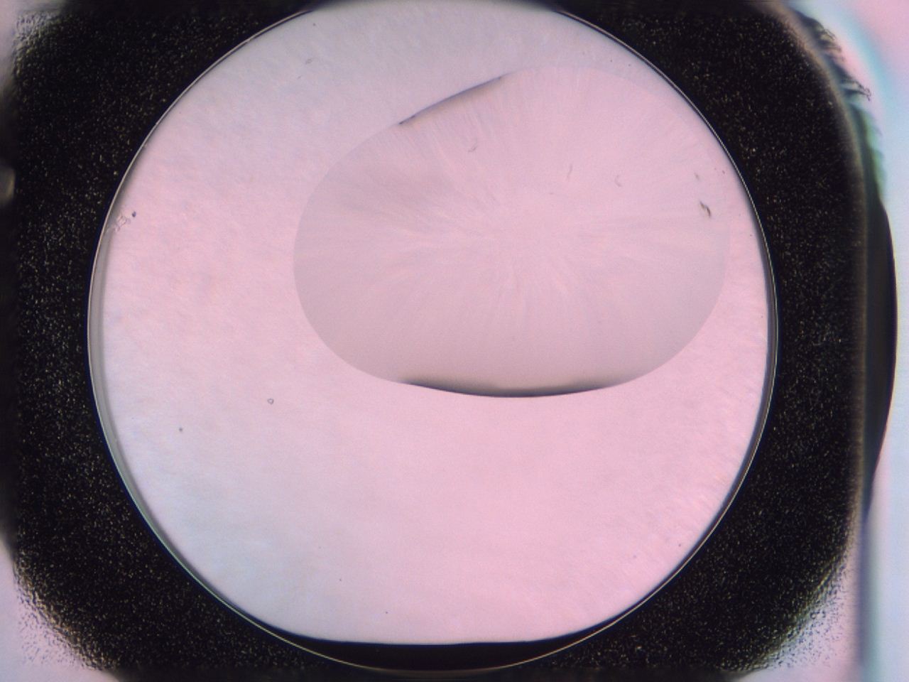 0461_F1_ImagerDefaults_0.jpg