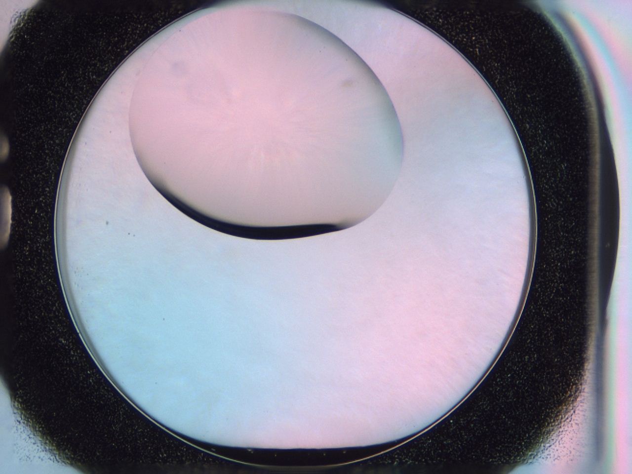 0461_G1_ImagerDefaults_0.jpg