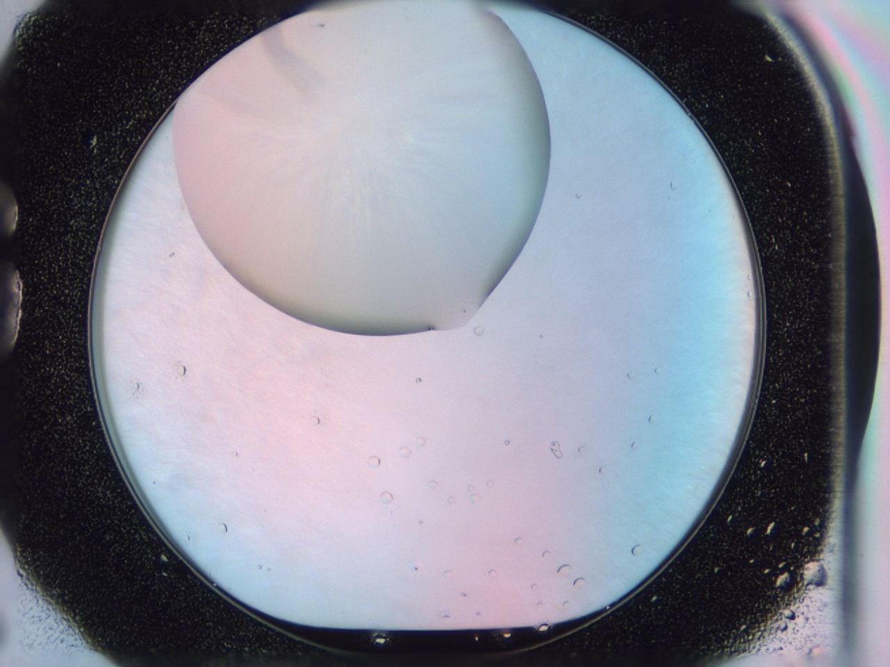 0461_G6_ImagerDefaults_0.jpg