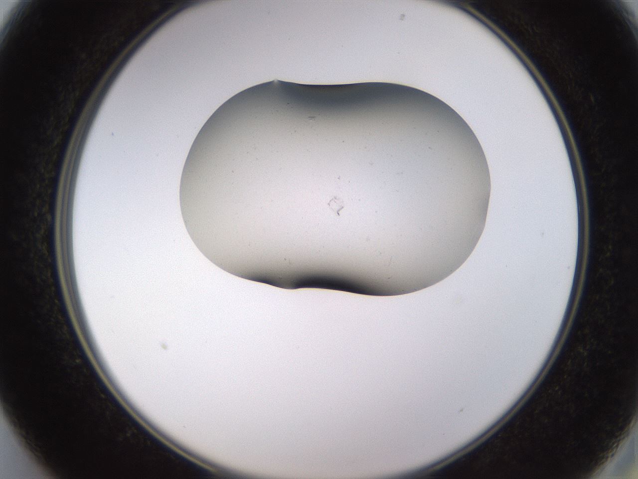 folderID755_plateID2755_batchID14414_wellNum13_profileID1_d2_r227108_ef.jpg