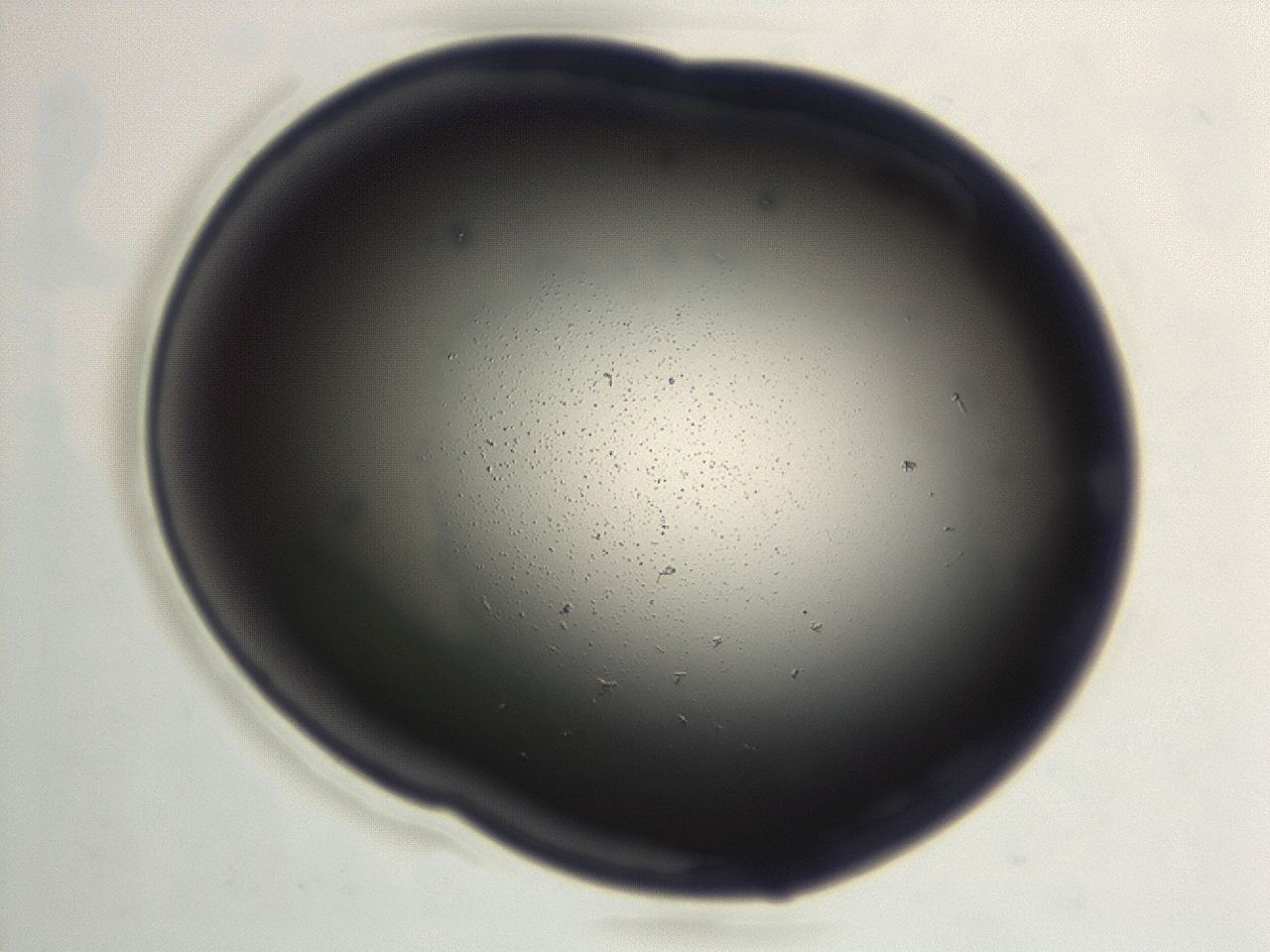 046f_G9_ImagerDefaults_1.jpg