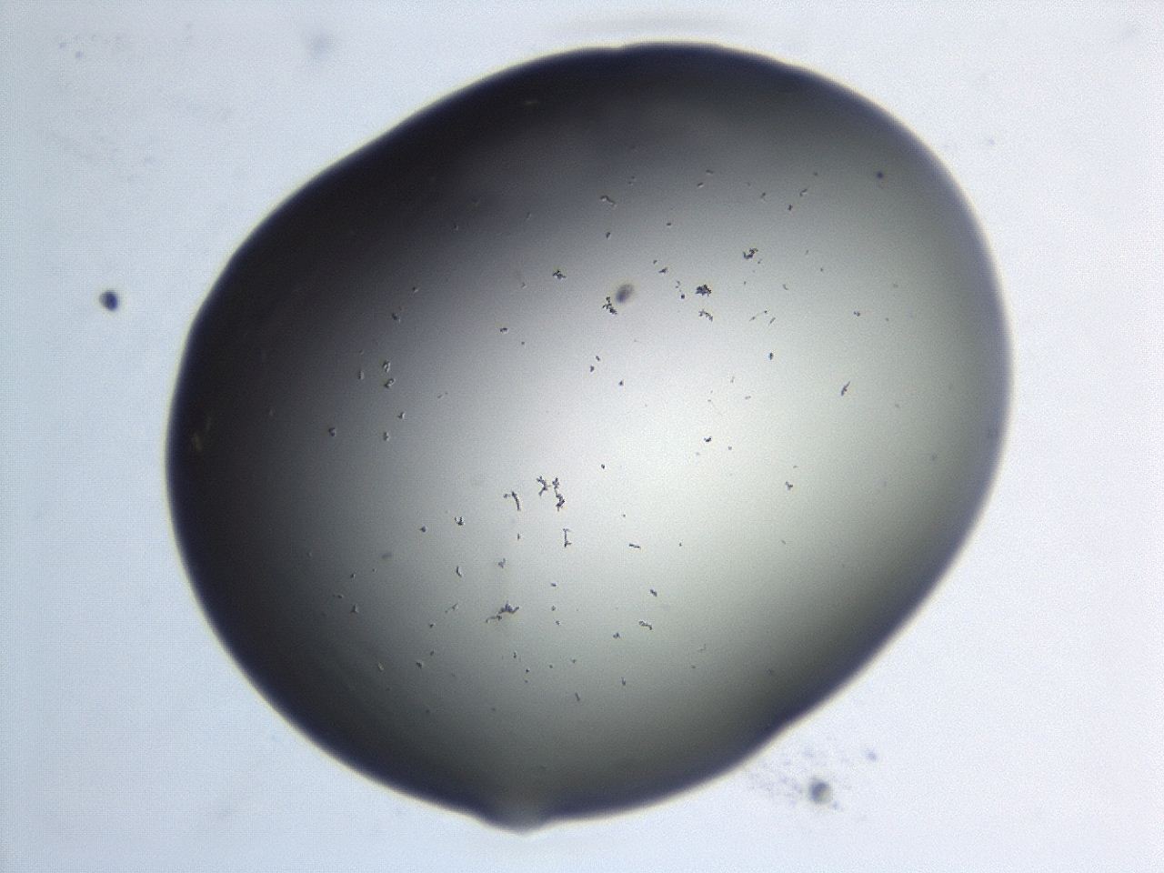 046f_C1_ImagerDefaults_1.jpg
