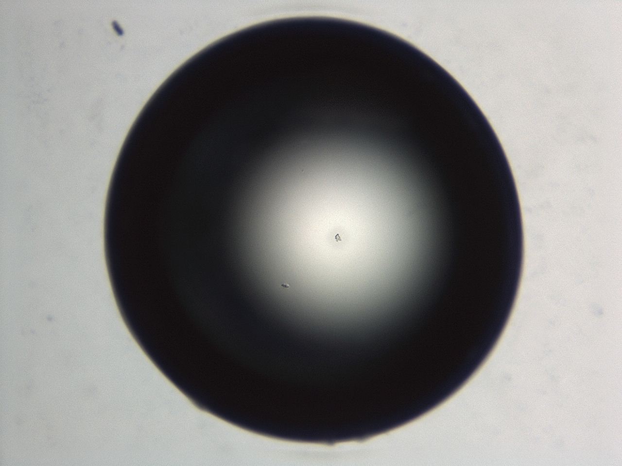 046f_E3_ImagerDefaults_1.jpg