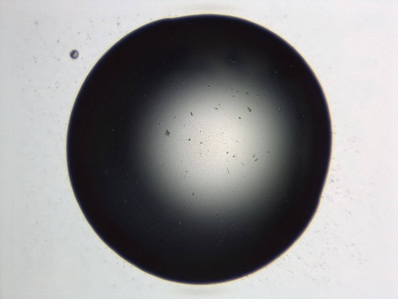 046f_D8_ImagerDefaults_1.jpg