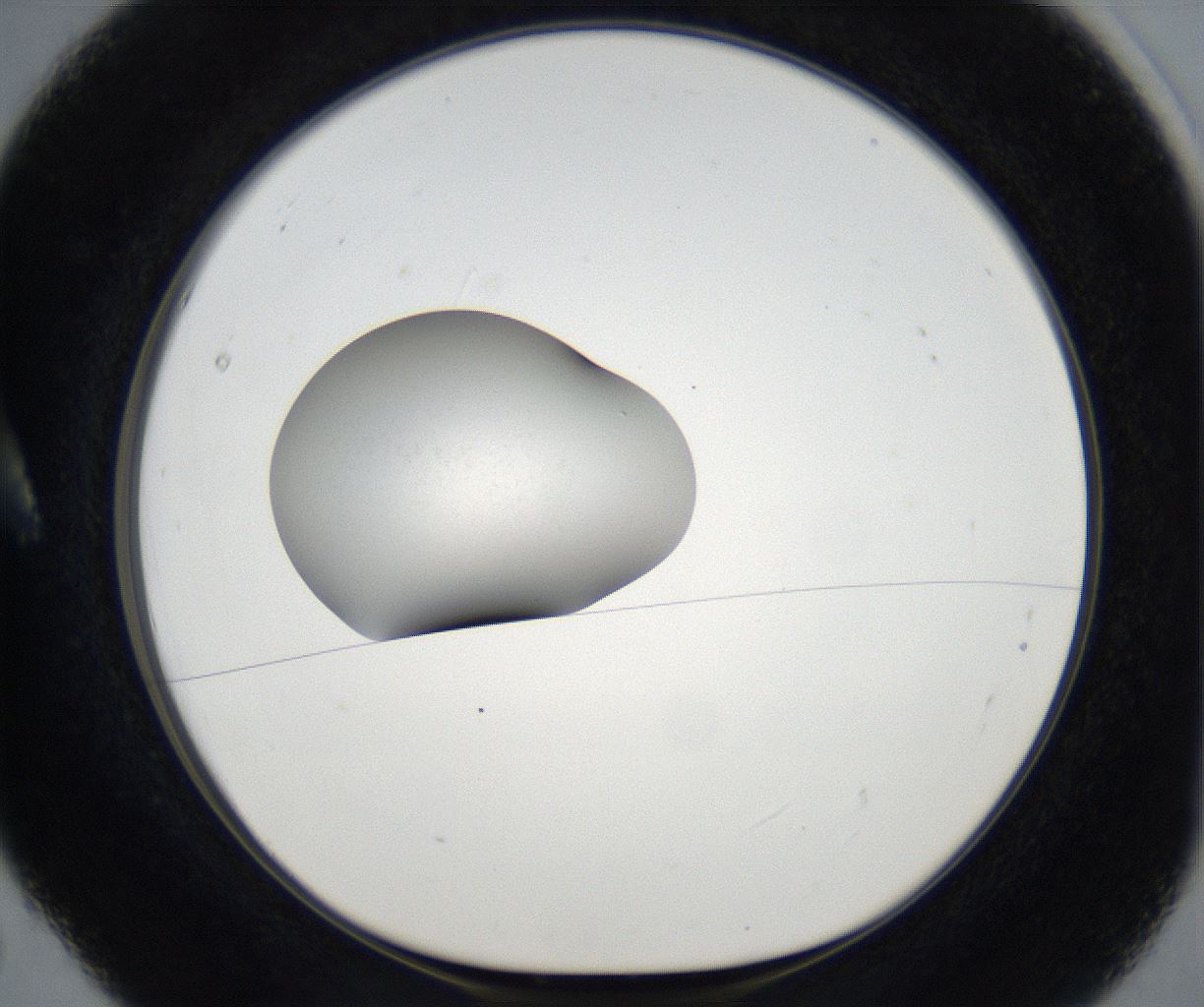 folderID75_plateID2075_batchID9508_wellNum5_profileID1_d1_r143574_ef.jpg