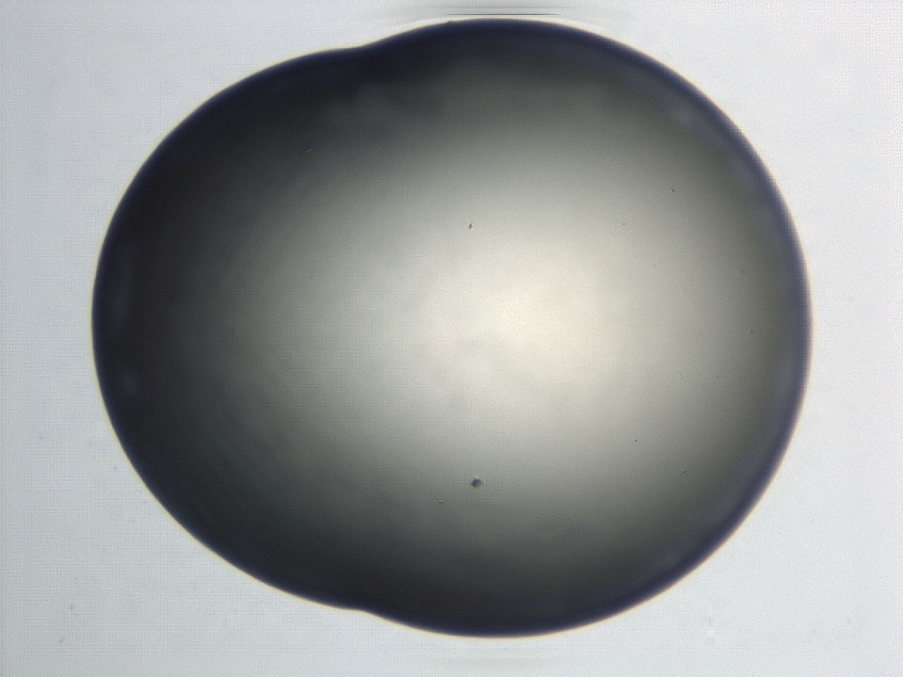046f_E8_ImagerDefaults_1.jpg