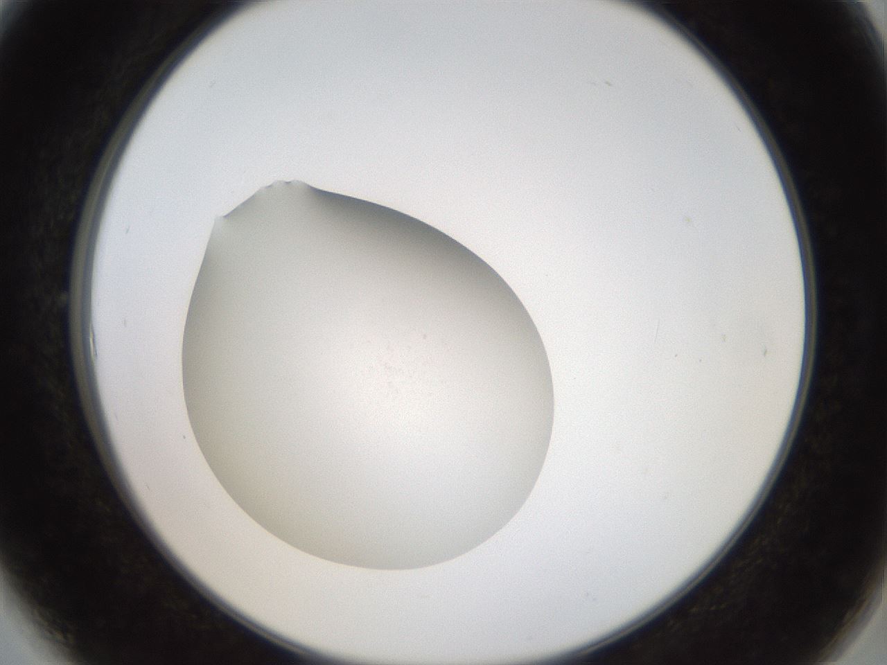 folderID765_plateID1765_batchID7536_wellNum6_profileID1_d2_r117451_ef.jpg