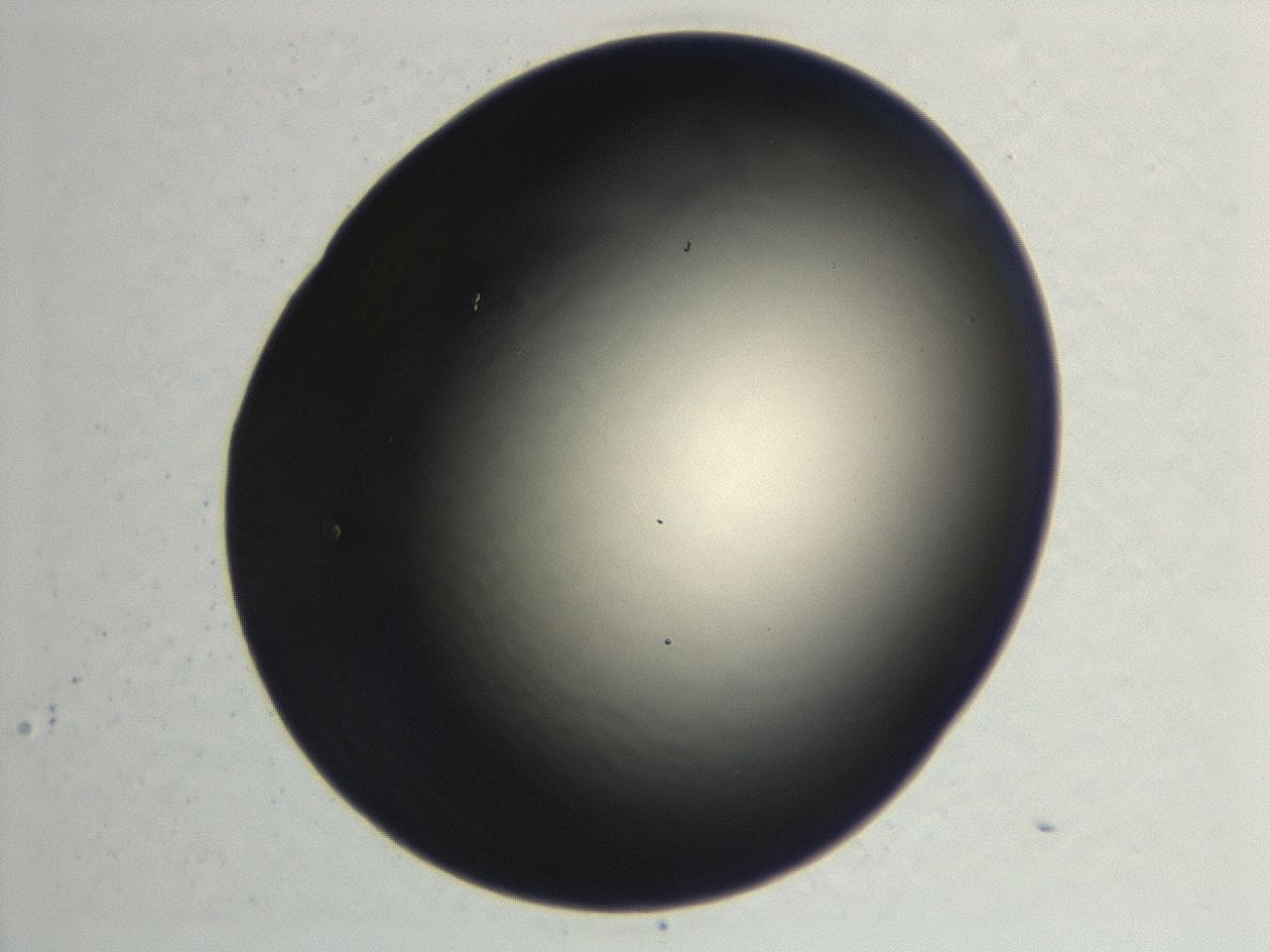046f_F4_ImagerDefaults_1.jpg