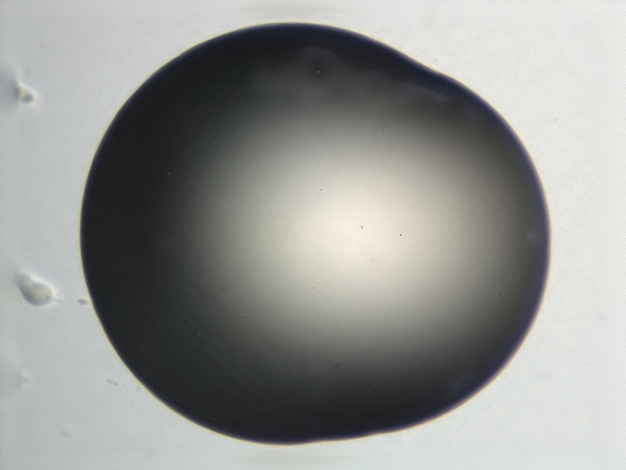 046f_F8_ImagerDefaults_1.jpg