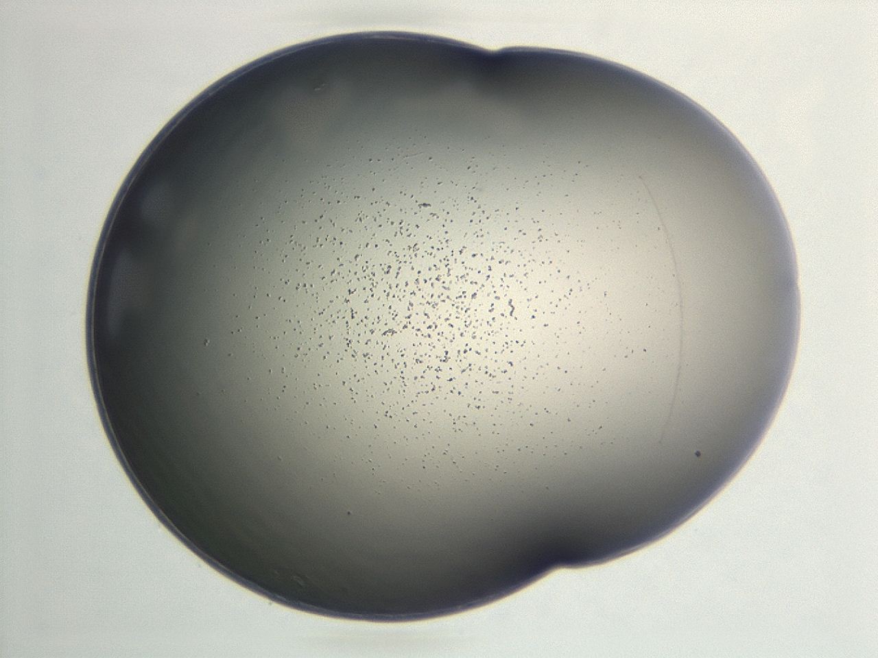 046f_F9_ImagerDefaults_1.jpg