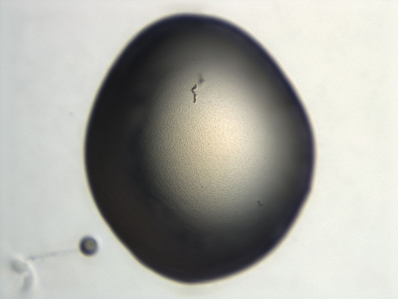 046f_F12_ImagerDefaults_1.jpg