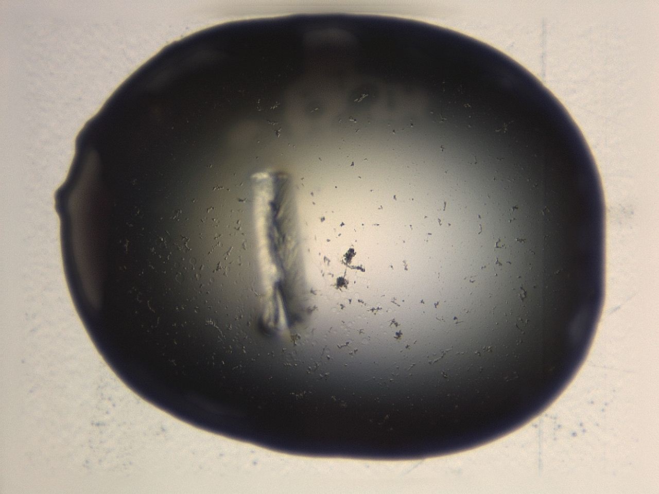 046g_B1_ImagerDefaults_1.jpg