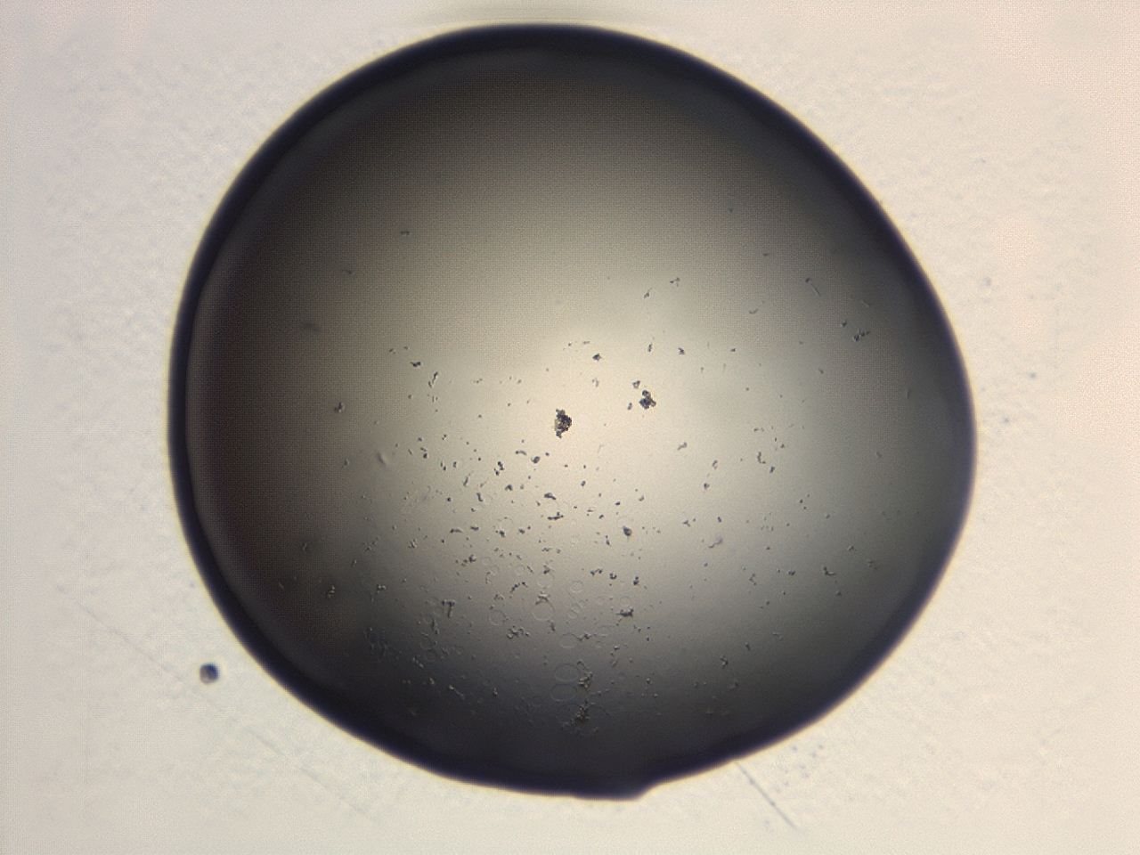 046g_B2_ImagerDefaults_1.jpg