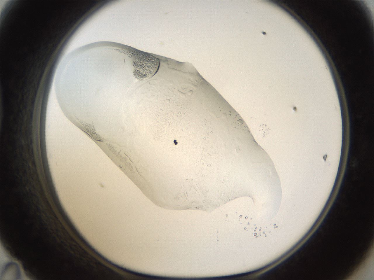 folderID76_plateID1076_batchID2492_wellNum47_profileID1_d1_r49041_ef.jpg
