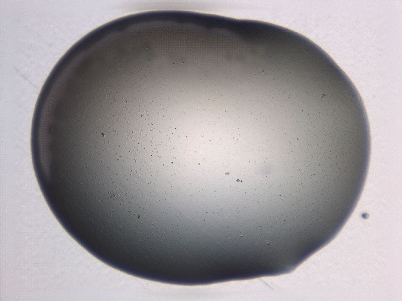046g_C2_ImagerDefaults_1.jpg