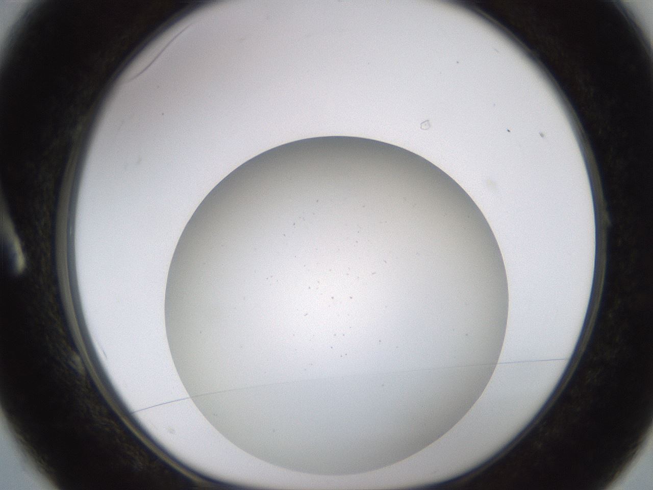 folderID782_plateID2782_batchID14785_wellNum1_profileID1_d1_r228162_ef.jpg