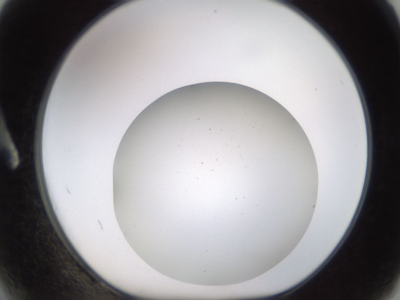 folderID782_plateID2782_batchID14785_wellNum2_profileID1_d1_r228164_ef.jpg