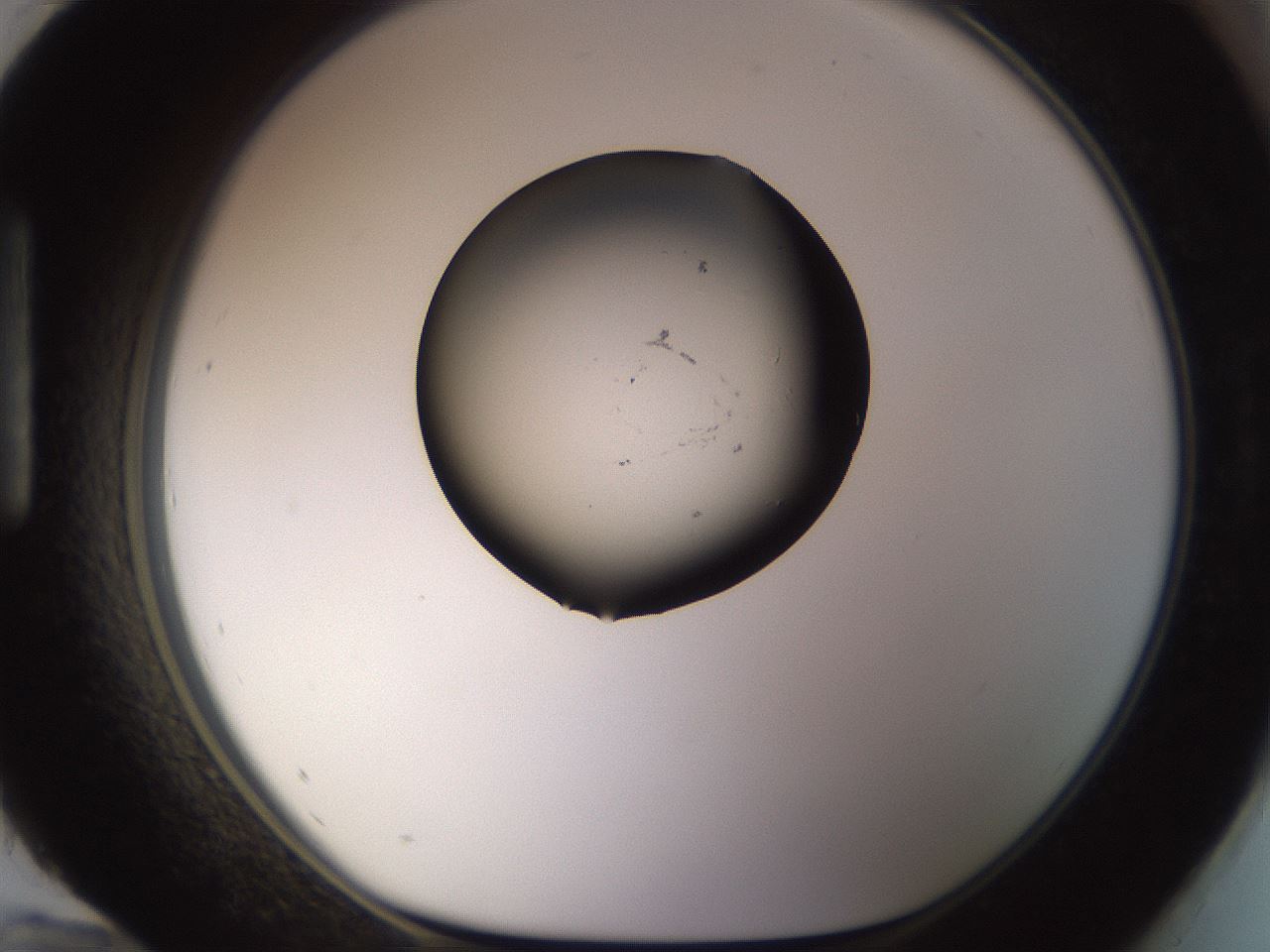 folderID815_plateID1815_batchID7658_wellNum96_profileID1_d1_r120800_ef.jpg
