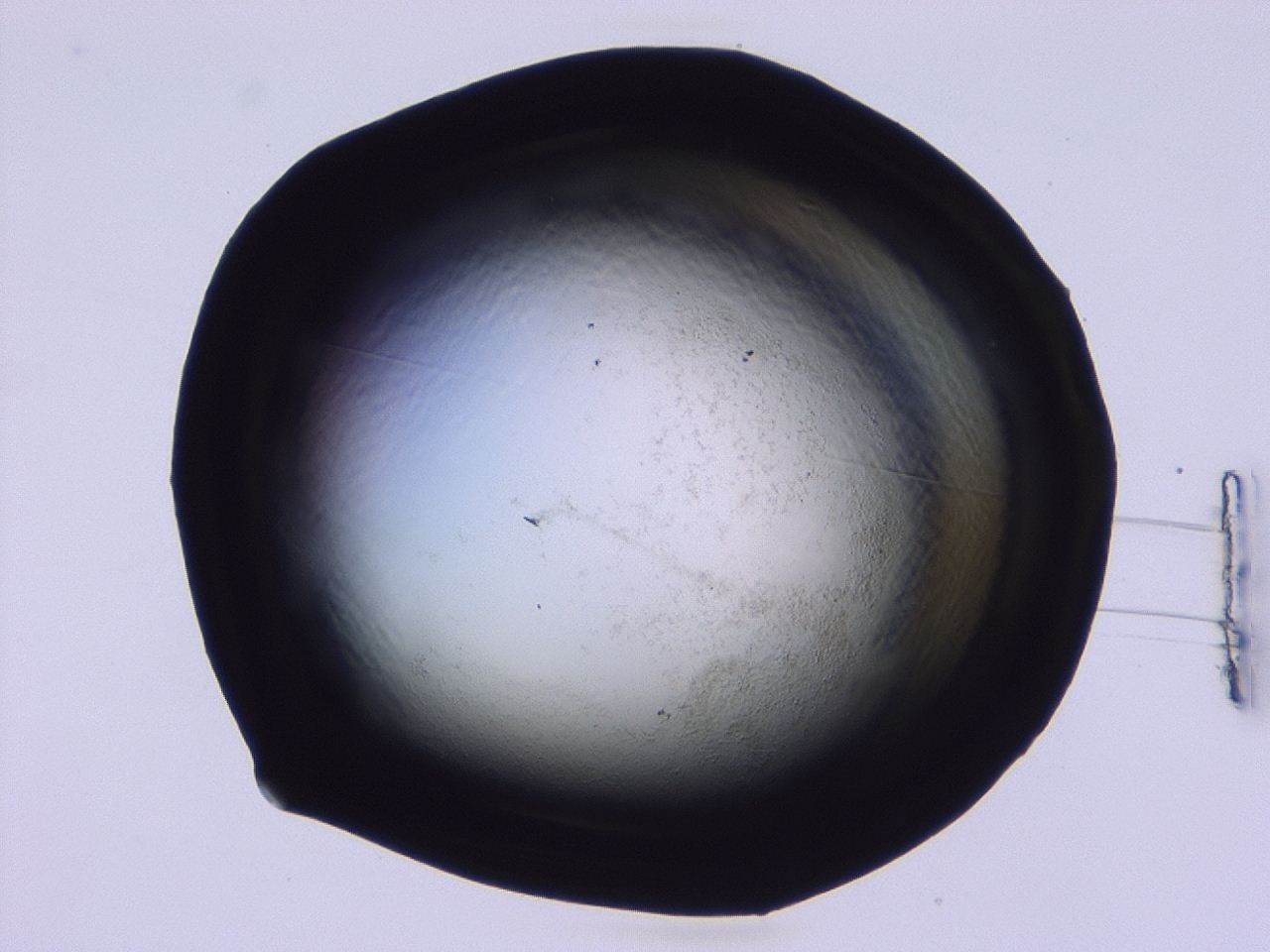 046i_D1_ImagerDefaults_1.jpg