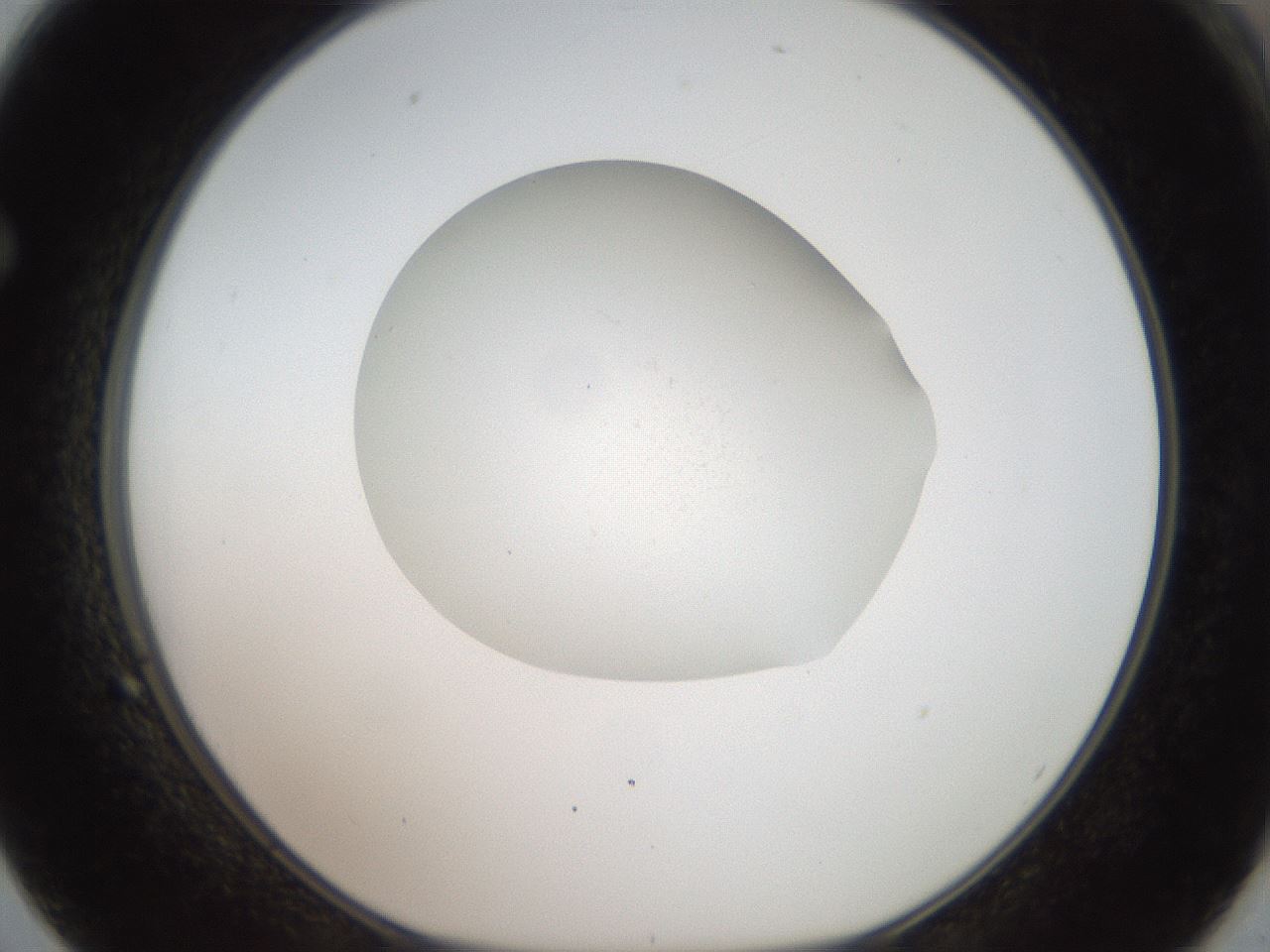folderID829_plateID1829_batchID7857_wellNum62_profileID1_d1_r121436_ef.jpg