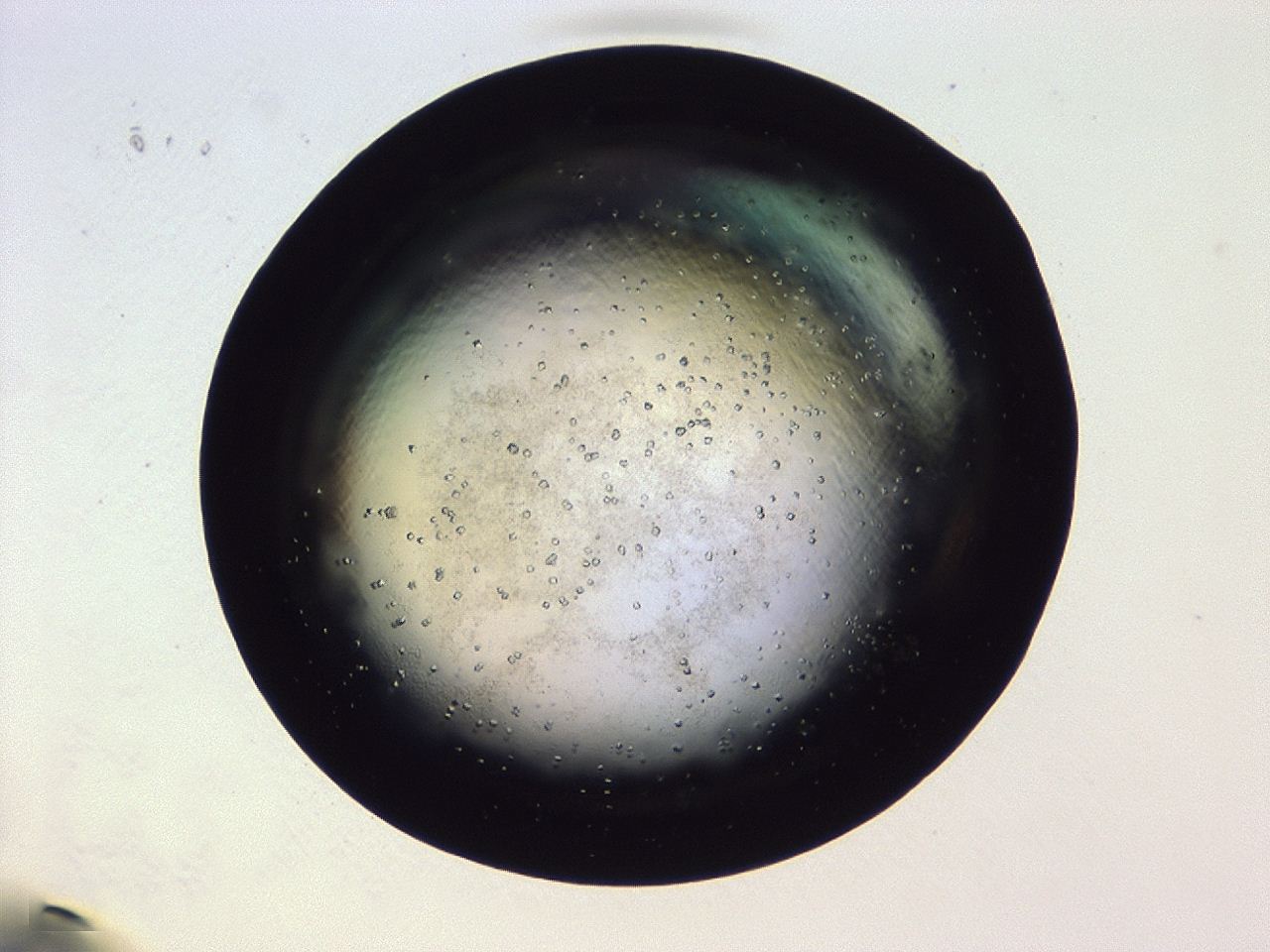 046i_G2_ImagerDefaults_9.jpg