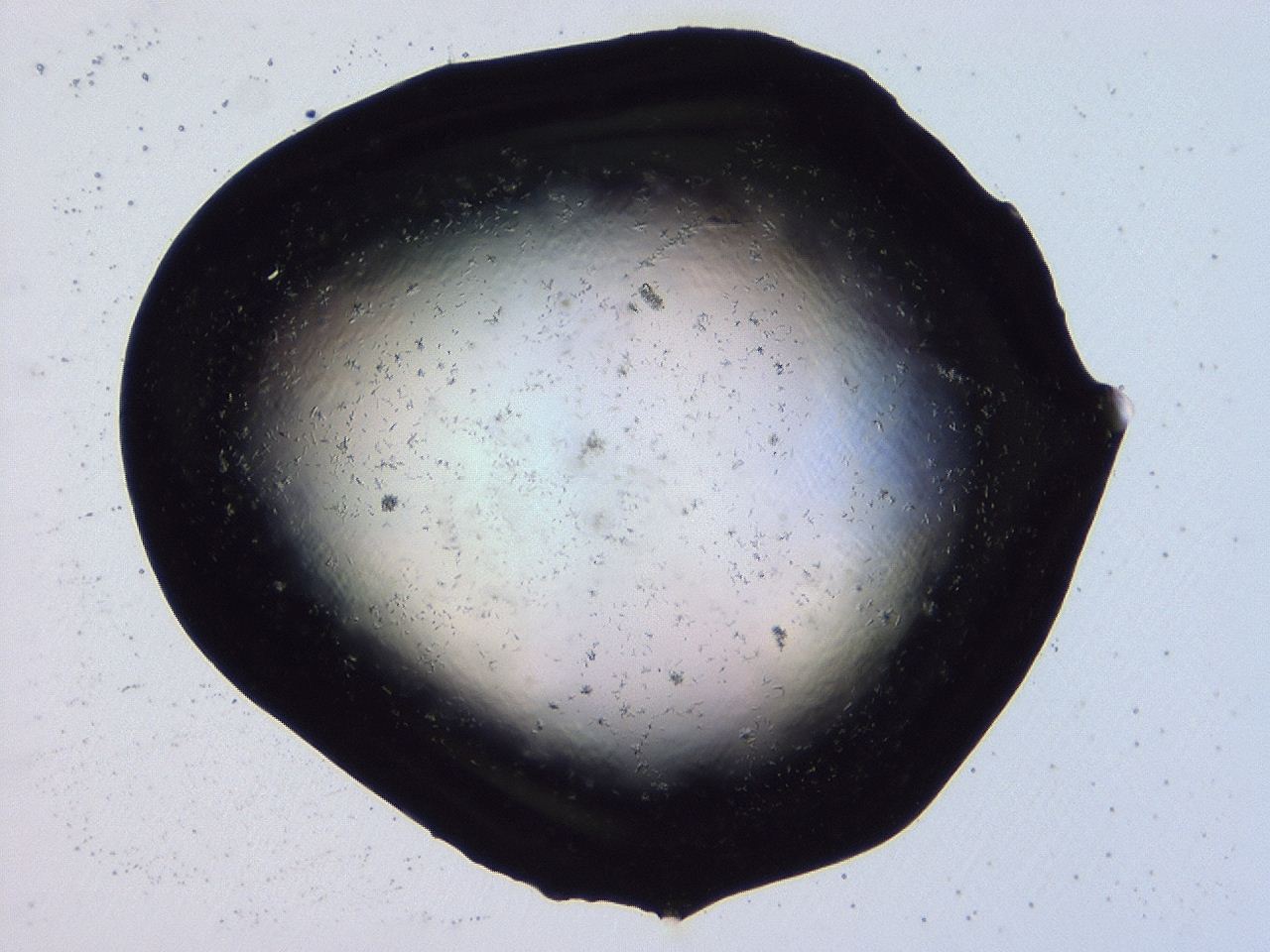 046i_H11_ImagerDefaults_6.jpg