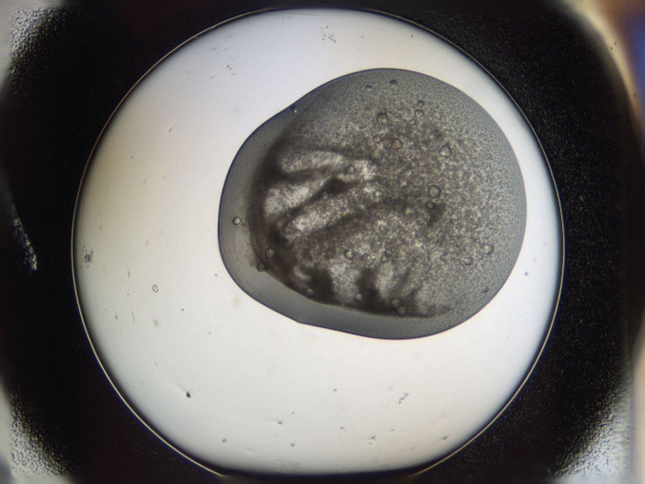 046j_A8_ImagerDefaults_9.jpg