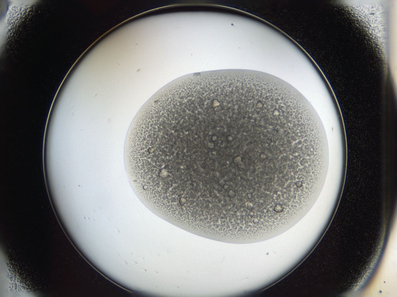 046k_A8_ImagerDefaults_9.jpg