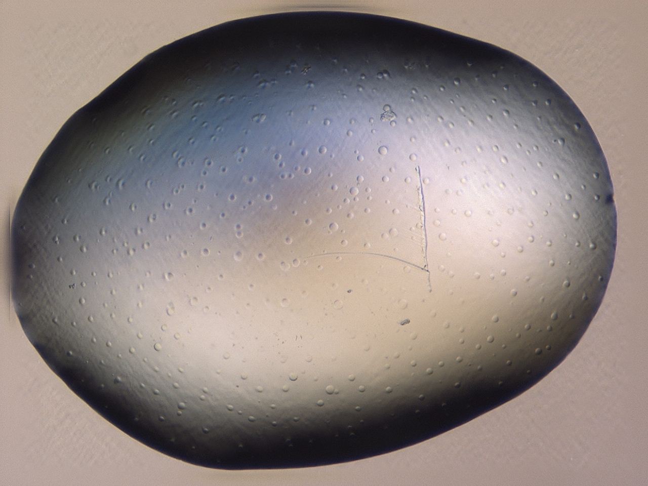 046l_A5_ImagerDefaults_1.jpg