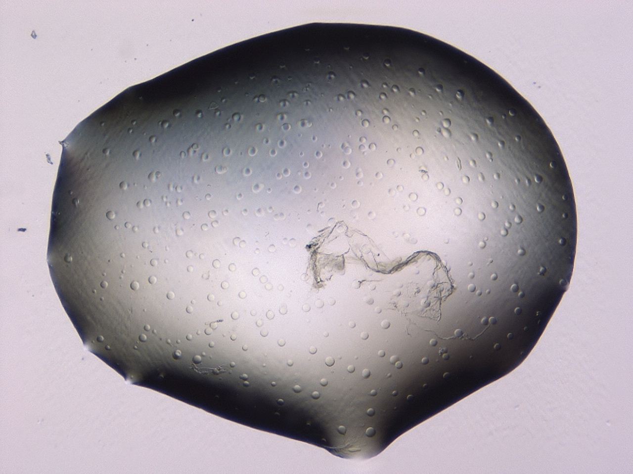 046l_A6_ImagerDefaults_1.jpg