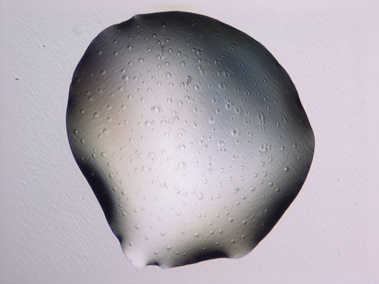 046l_A3_ImagerDefaults_1.jpg