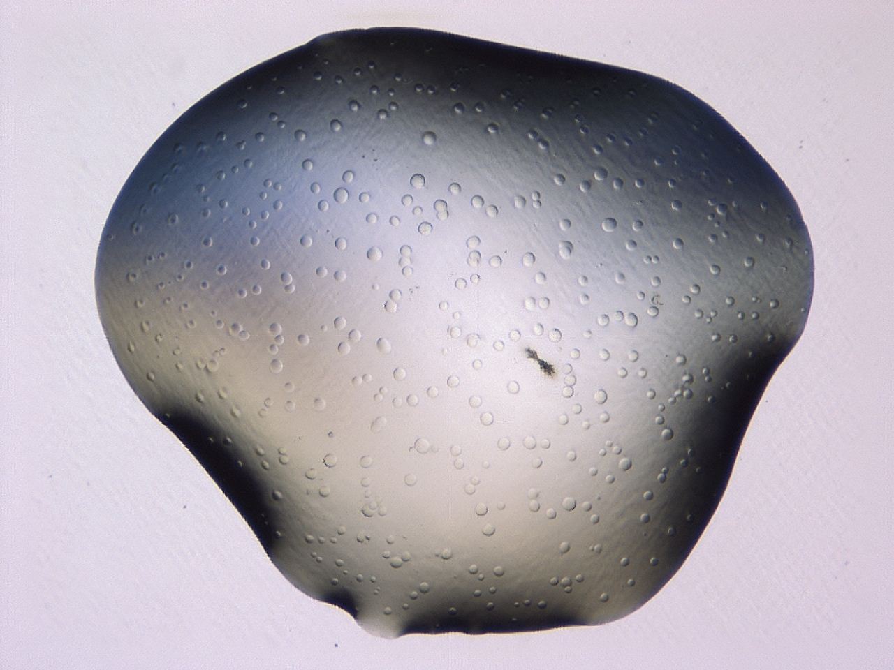046l_A4_ImagerDefaults_1.jpg