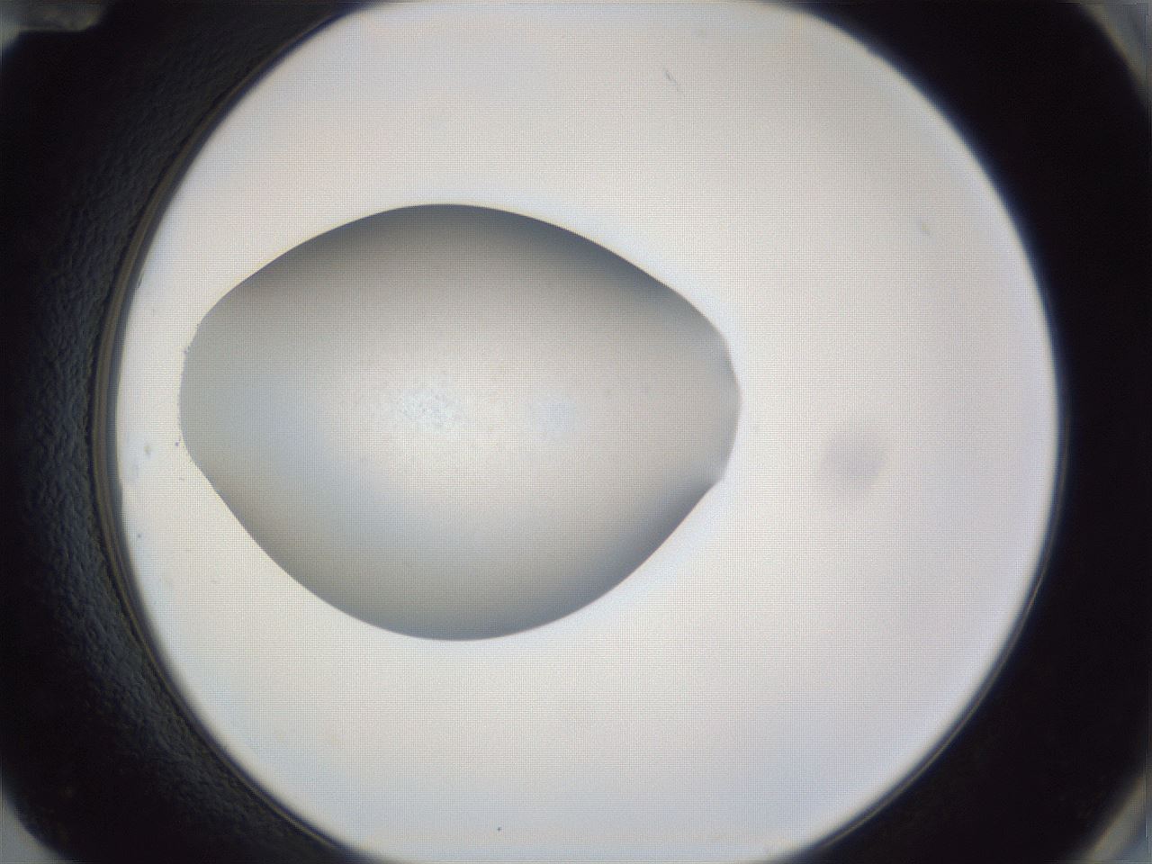 folderID841_plateID1841_batchID7907_wellNum84_profileID1_d2_r125829_ef.jpg