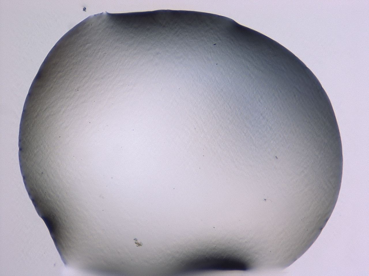 046l_A11_ImagerDefaults_1.jpg