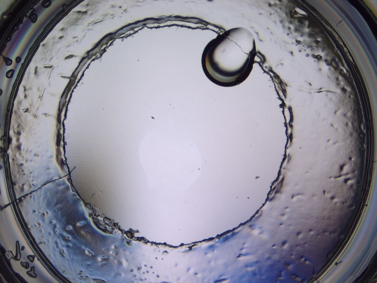 046l_A12_ImagerDefaults_1.jpg