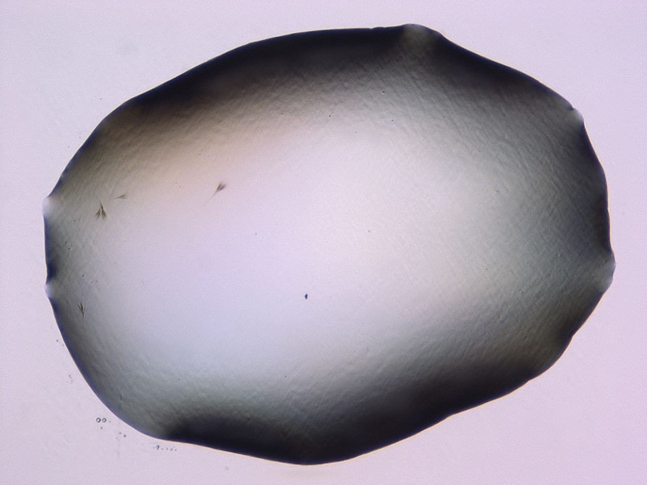 046l_C2_ImagerDefaults_1.jpg