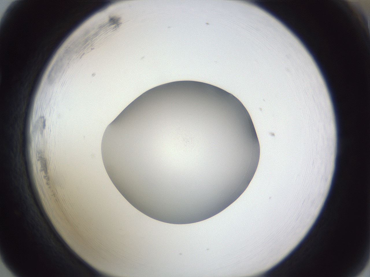 folderID842_plateID1842_batchID7890_wellNum65_profileID1_d1_r125022_ef.jpg