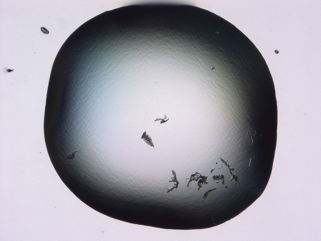 046l_D12_ImagerDefaults_1.jpg
