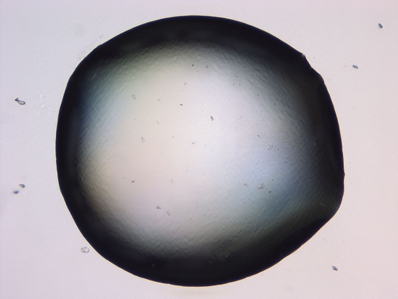 046l_B2_ImagerDefaults_1.jpg