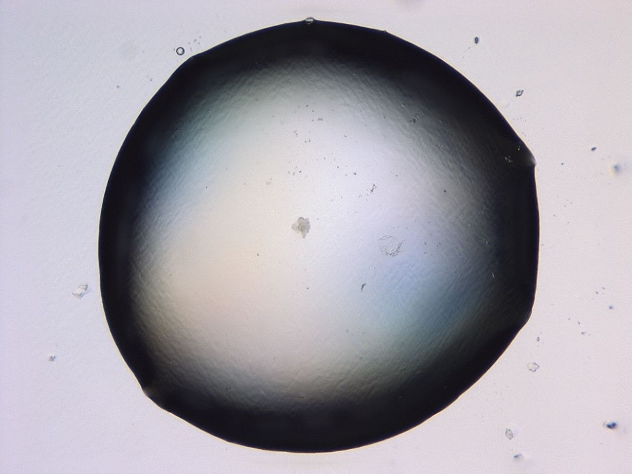 046l_B3_ImagerDefaults_1.jpg