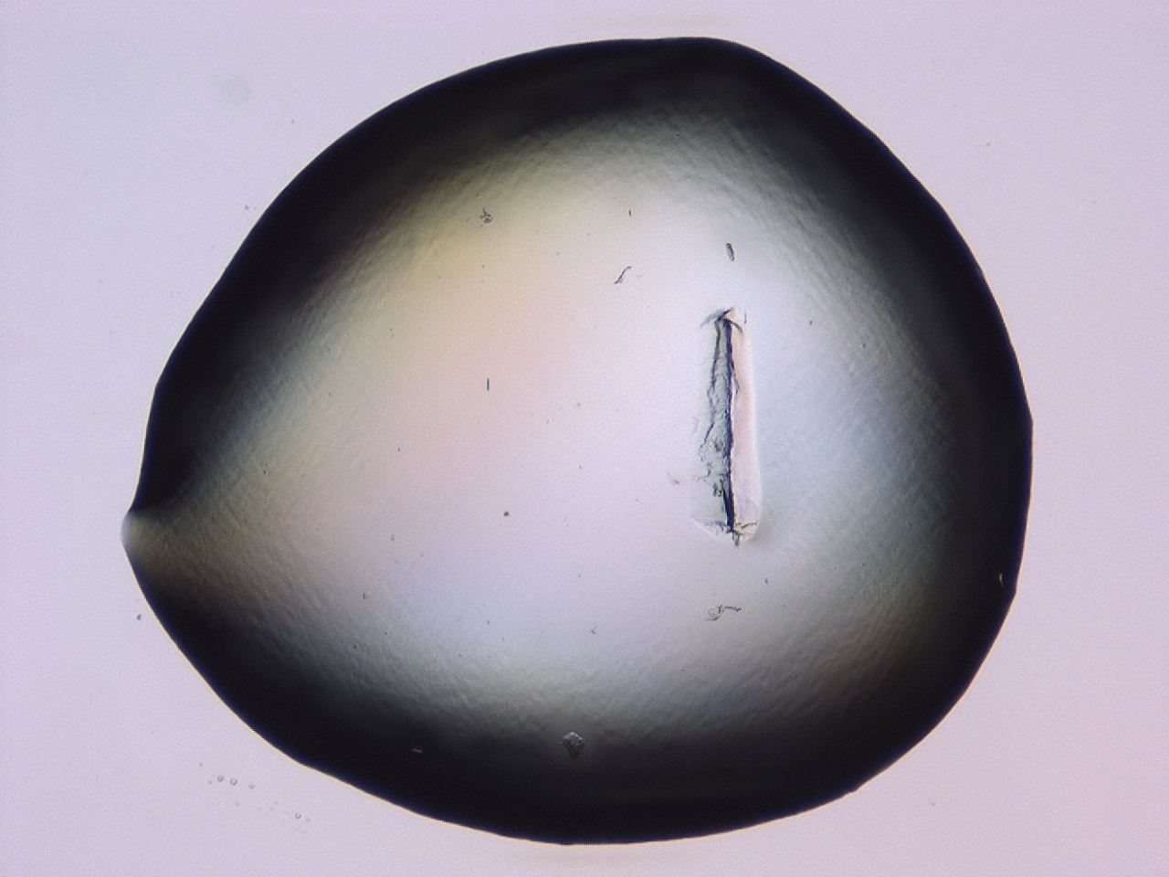 046l_B5_ImagerDefaults_1.jpg